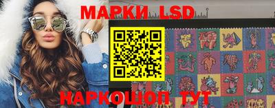 стафф Будённовск