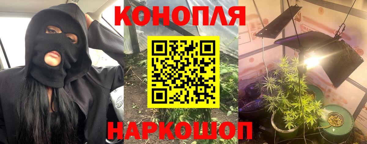 Каннабис сатива  Бошки марихуана семена  Вход с VPN  МАРИХУАНА OG Kush  Новомосковск 